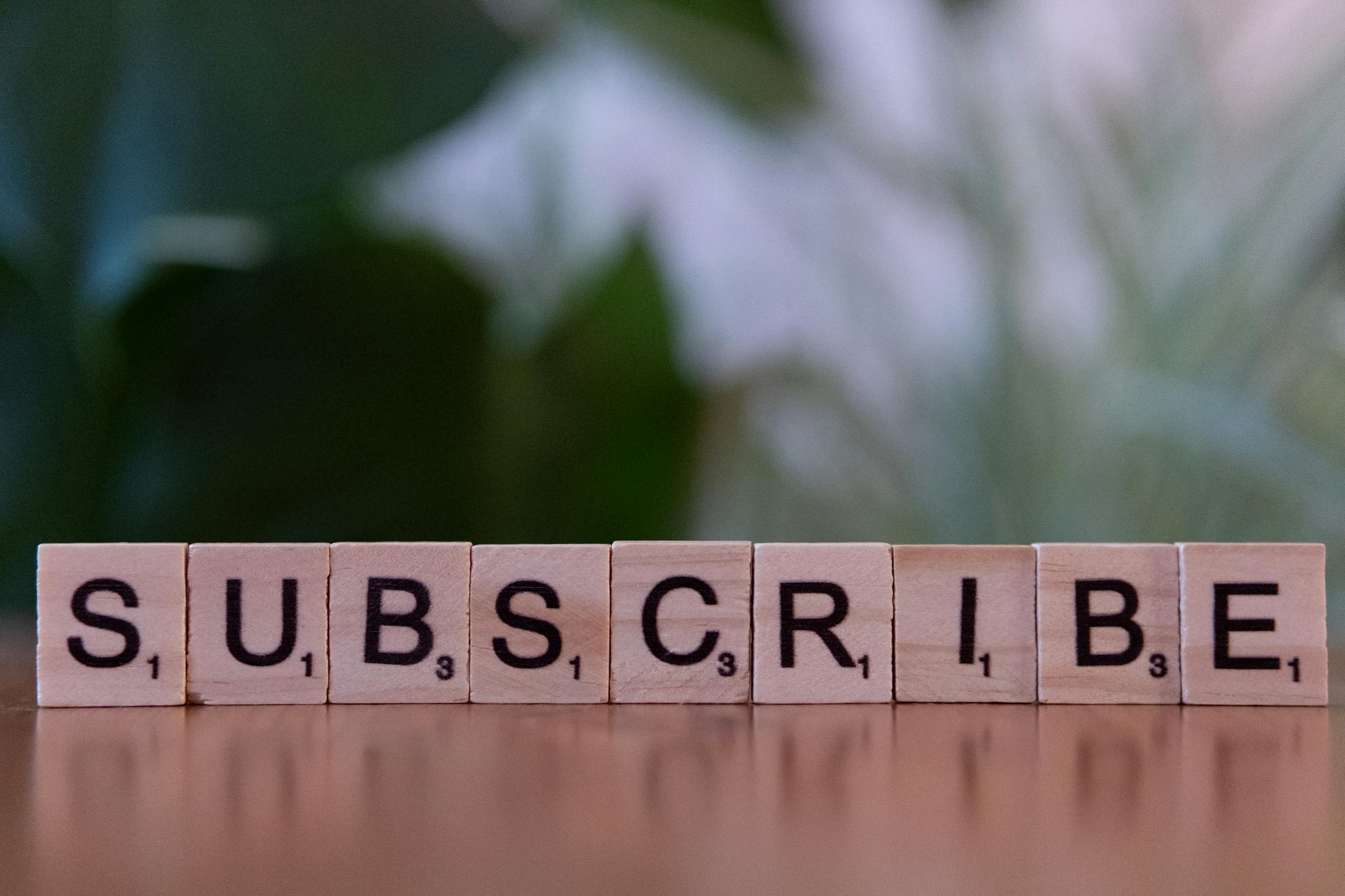 Building a Loyal Blog Audience